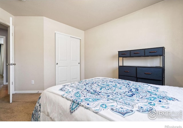 carpeted bedroom with a closet