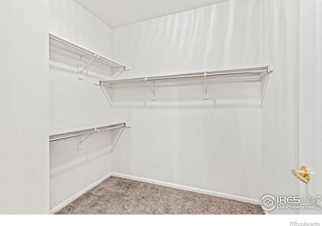 spacious closet with light colored carpet