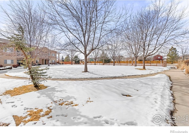 view of yard layered in snow