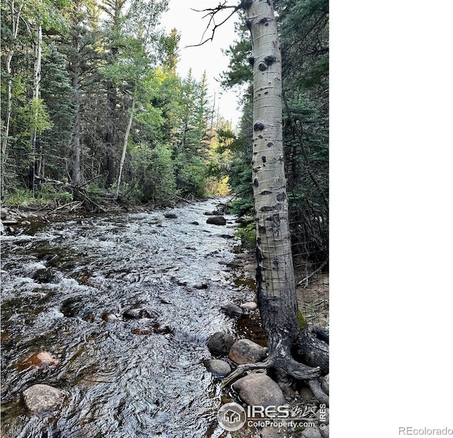 view of local wilderness