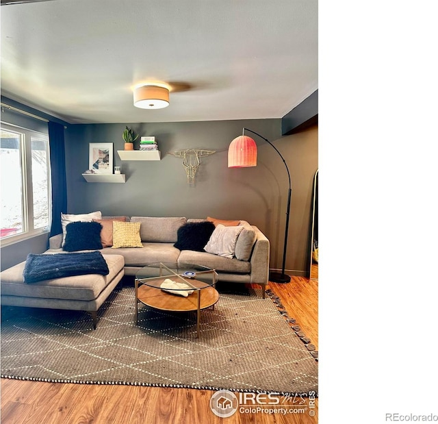 living room with wood-type flooring