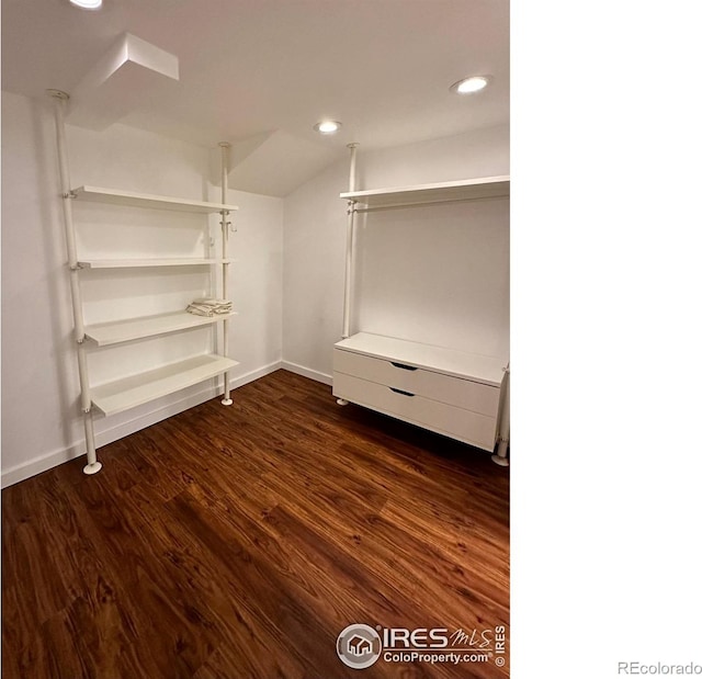 walk in closet featuring dark hardwood / wood-style floors