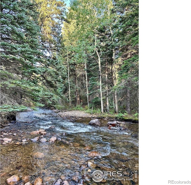 view of local wilderness