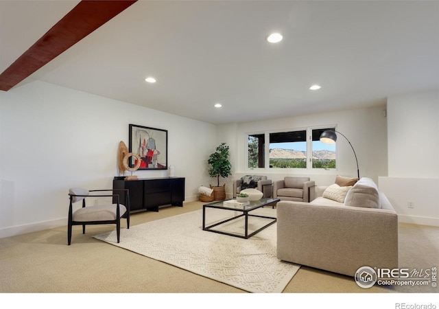 living room featuring light colored carpet