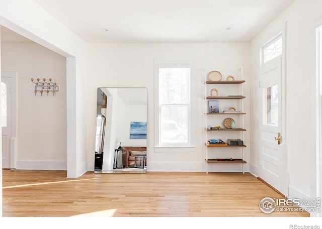 foyer entrance featuring hardwood / wood-style flooring