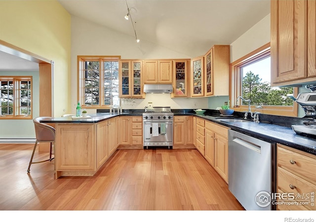 kitchen with appliances with stainless steel finishes, sink, light brown cabinetry, and light hardwood / wood-style flooring