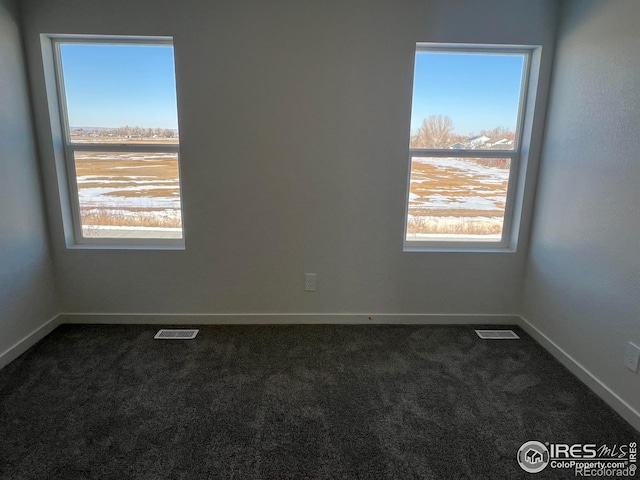 spare room featuring carpet flooring