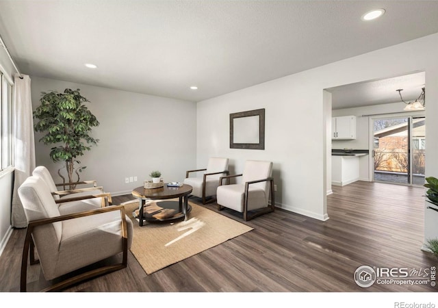 living room with dark hardwood / wood-style floors