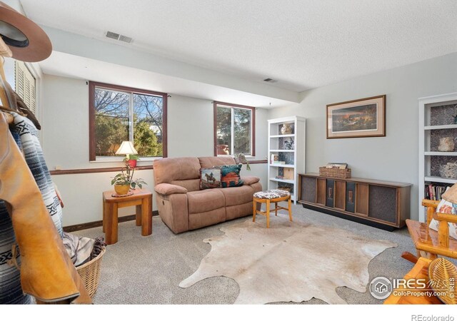 carpeted living room with a textured ceiling