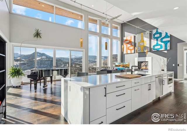 kitchen with sink, dark wood-type flooring, white cabinetry, an island with sink, and a mountain view