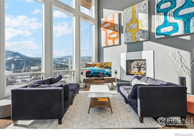 living room with a mountain view, hardwood / wood-style floors, and a large fireplace