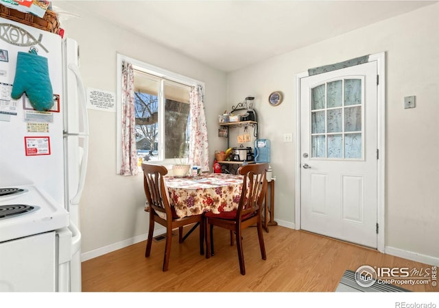 dining room with light hardwood / wood-style floors