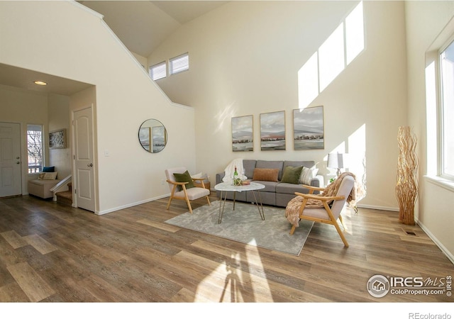 living room with hardwood / wood-style floors and a high ceiling