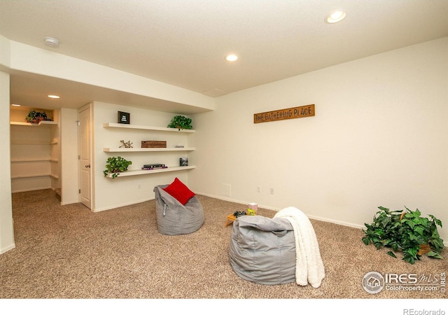 sitting room featuring carpet