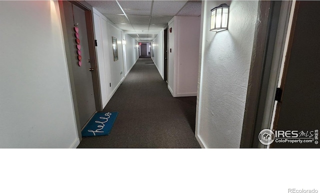 corridor featuring carpet floors, a drop ceiling, and baseboards