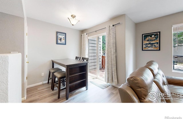 dining room featuring a healthy amount of sunlight and light hardwood / wood-style floors