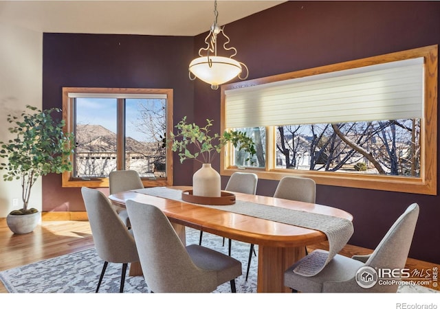 dining area featuring wood finished floors