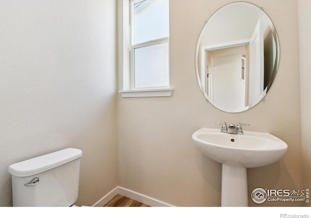 bathroom featuring hardwood / wood-style flooring and toilet