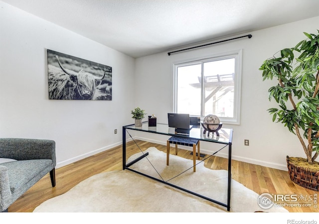 office area featuring hardwood / wood-style flooring