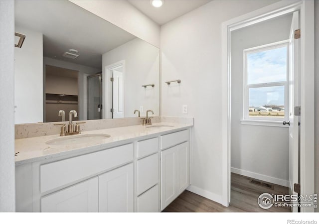 bathroom with hardwood / wood-style flooring and vanity