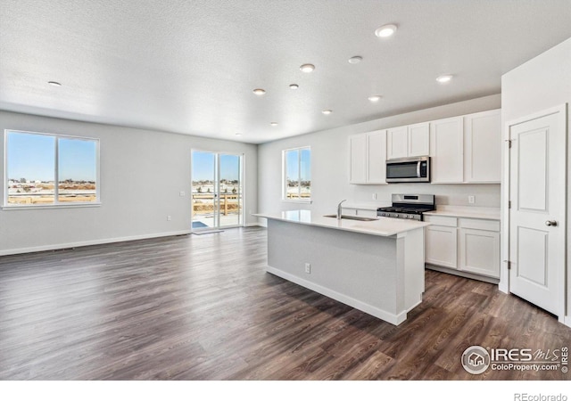 kitchen with appliances with stainless steel finishes, sink, an island with sink, and white cabinets