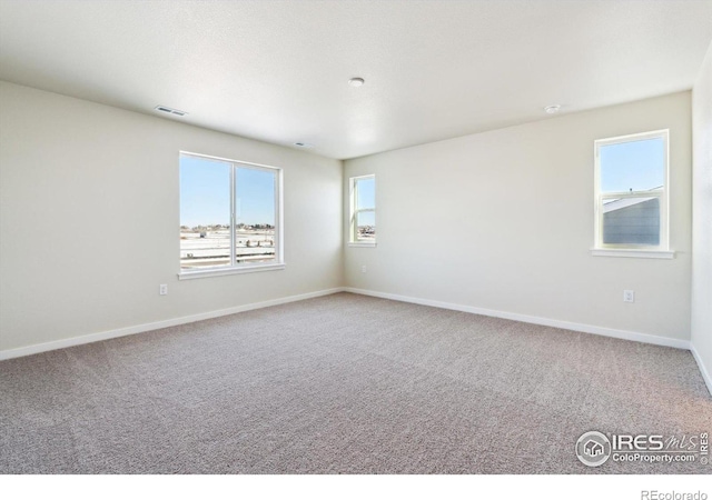 empty room featuring a wealth of natural light and carpet floors