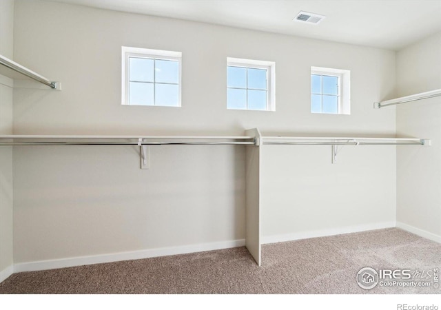 walk in closet with light carpet