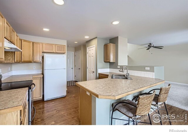 kitchen featuring under cabinet range hood, a peninsula, a sink, electric stove, and freestanding refrigerator