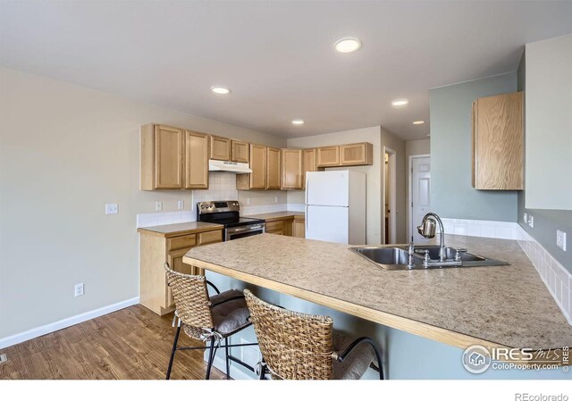 kitchen with under cabinet range hood, a peninsula, a sink, stainless steel range with electric cooktop, and freestanding refrigerator