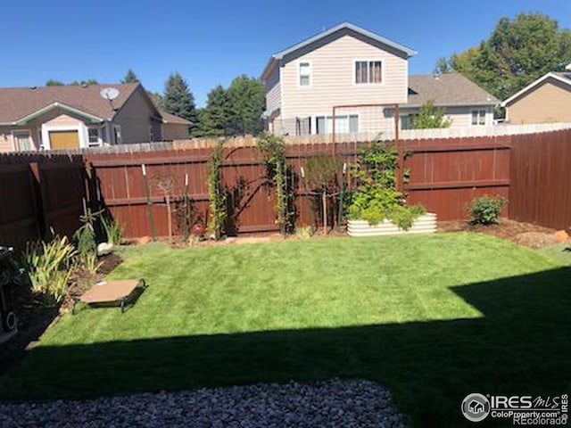 view of yard featuring a fenced backyard