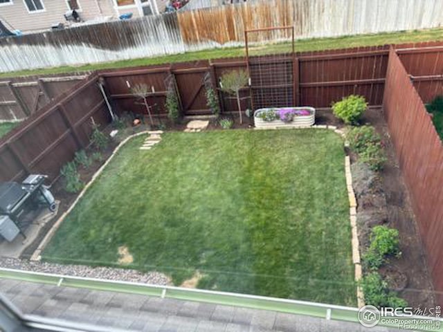 view of yard with a fenced backyard