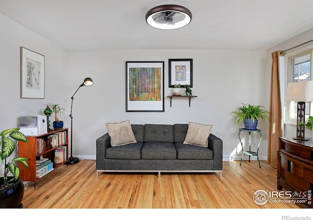 living room with baseboards and wood finished floors