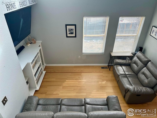 living room featuring wood-type flooring