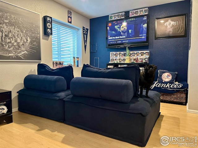 home theater room with wood-type flooring