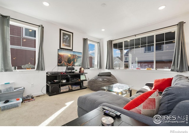 living room with carpet floors