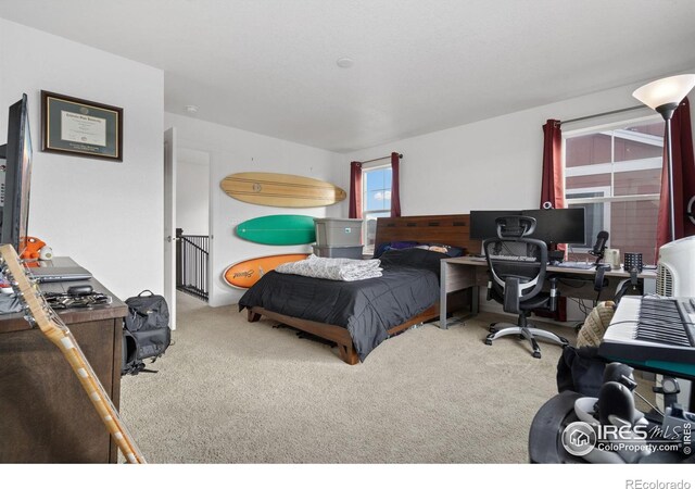 bedroom featuring light colored carpet