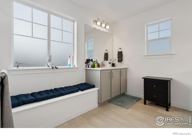 bathroom with hardwood / wood-style flooring, vanity, and a wealth of natural light