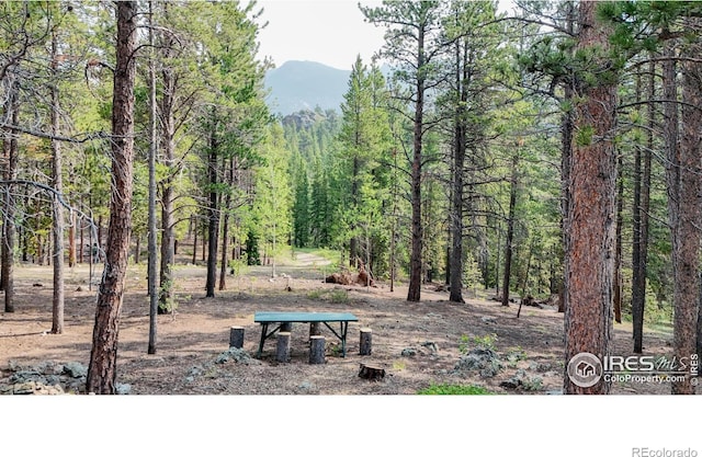 2420 Big Owl Rd, Allenspark, CO 80510 - view of yard with a mountain view