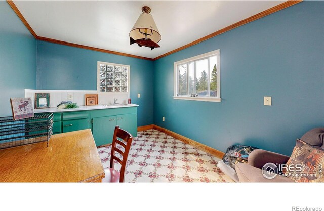 2420 Big Owl Rd, Allenspark, CO 80510