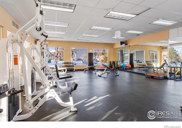 workout area with plenty of natural light and a paneled ceiling