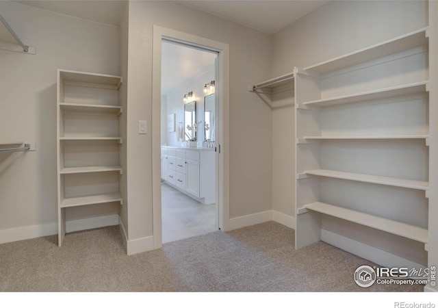 spacious closet featuring light carpet