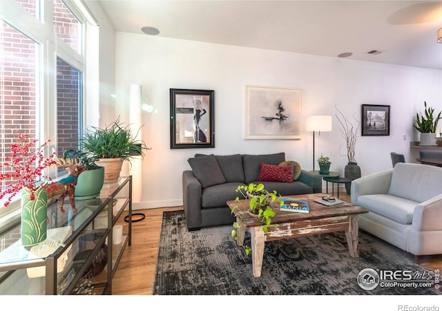 living room with hardwood / wood-style flooring