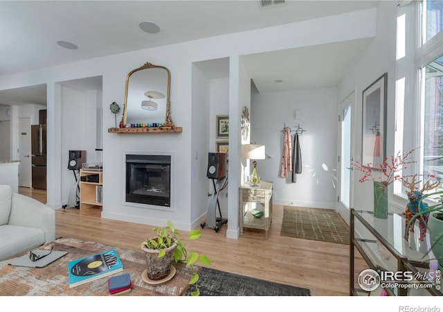 living room with hardwood / wood-style floors and plenty of natural light