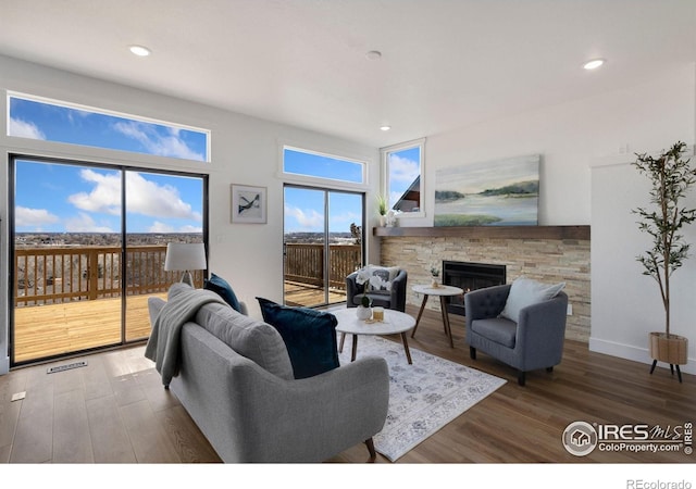 living room with a stone fireplace and hardwood / wood-style floors