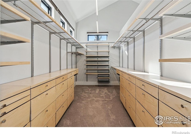 walk in closet featuring lofted ceiling and dark carpet