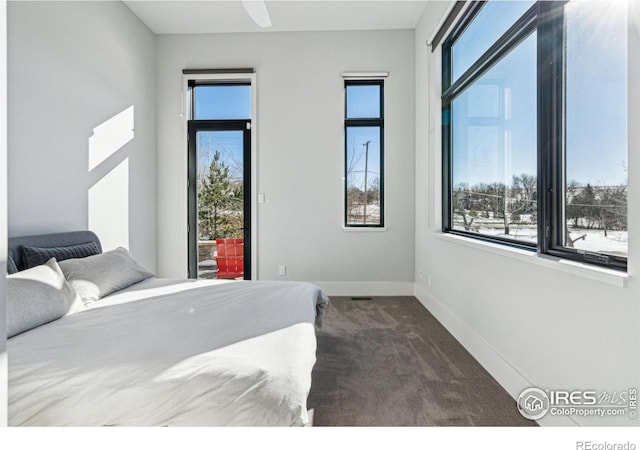 bedroom featuring multiple windows and carpet