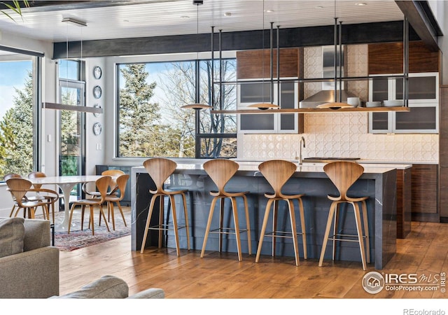 kitchen featuring a wealth of natural light, decorative light fixtures, backsplash, and hardwood / wood-style flooring