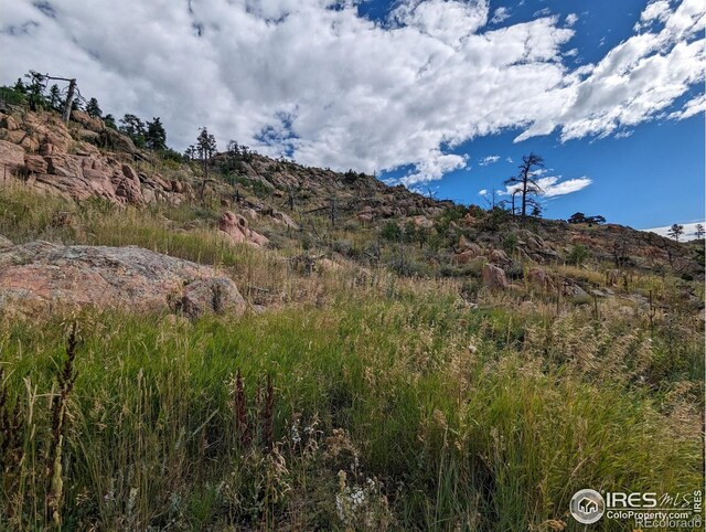 1737 Eiger Rd, Livermore, CO 80536