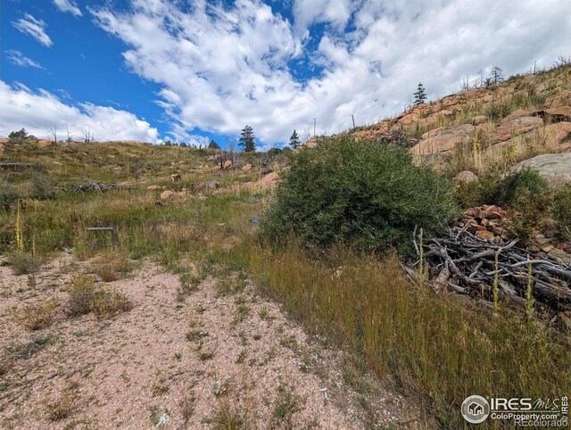1737 Eiger Rd, Livermore, CO 80536
