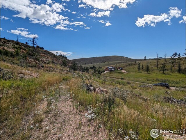 1737 Eiger Rd, Livermore, CO 80536